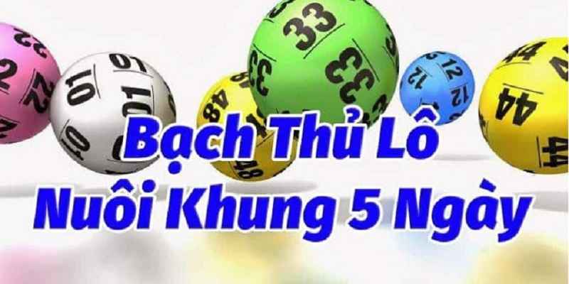 bach-thu-lo-khung-5-ngay