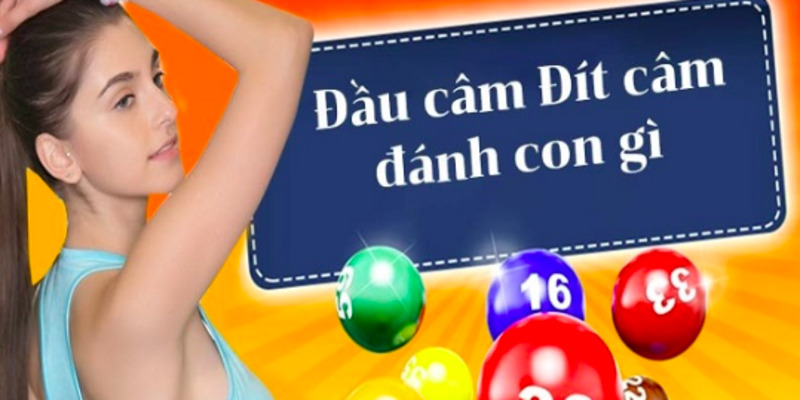 lo-dau-0-cam-hom-sau-danh-con-gi