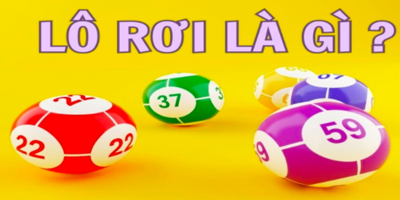 soi-cau-lo-roi-mien-bac