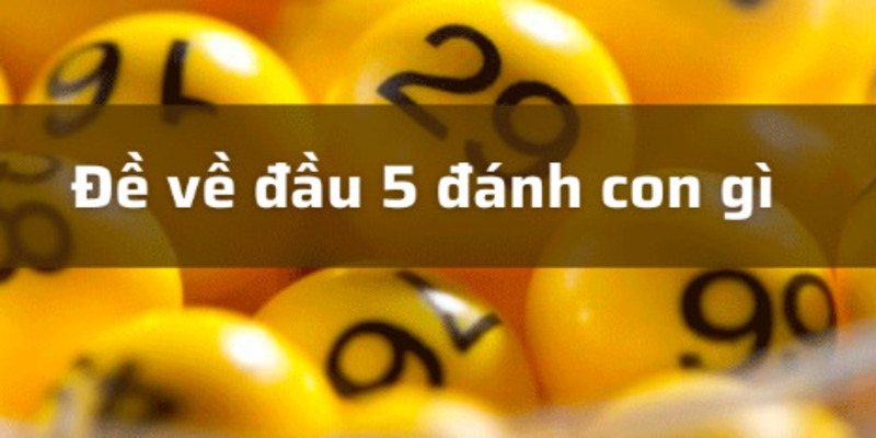 de-ve-dau-5-danh-gi-1