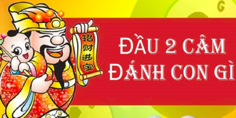 lo-dau-2-cam-hom-sau-danh-con-gi