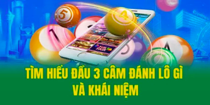 lo-dau-3-cam-hom-sau-danh-con-gi