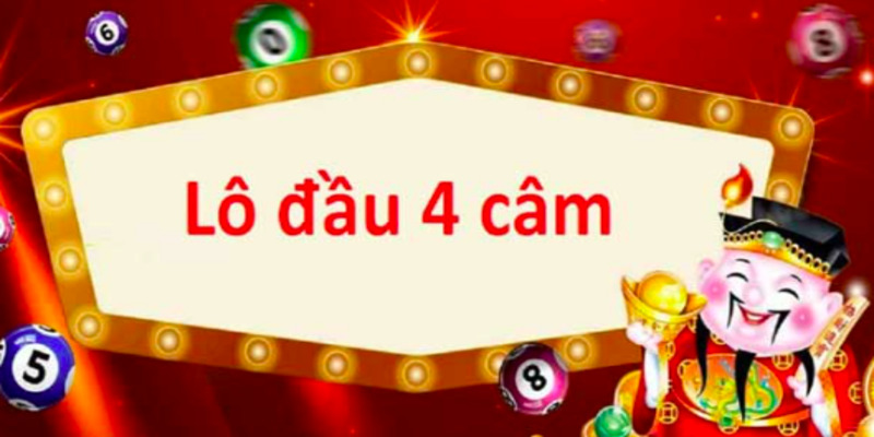 lo-dau-4-cam-hom-sau-danh-con-gi