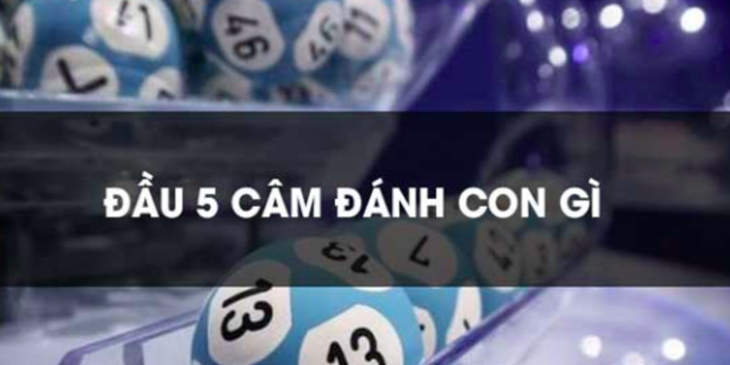 lo-dau-5-cam-hom-sau-danh-con-gi-1