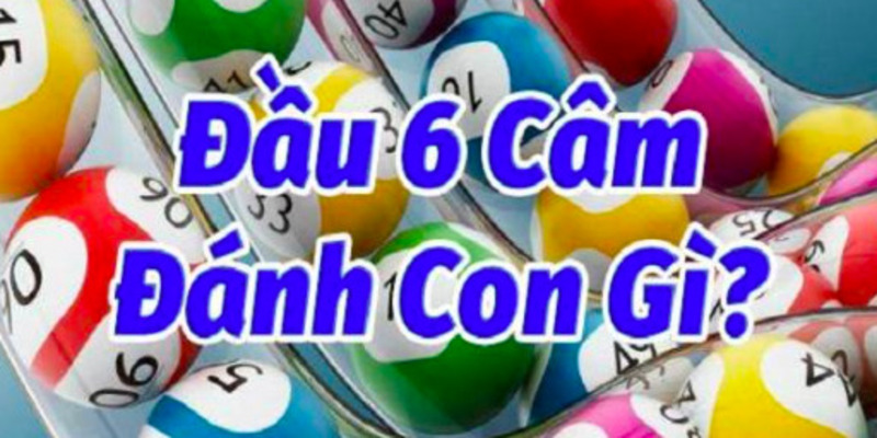 lo-dau-6-cam-hom-sau-danh-con-gi