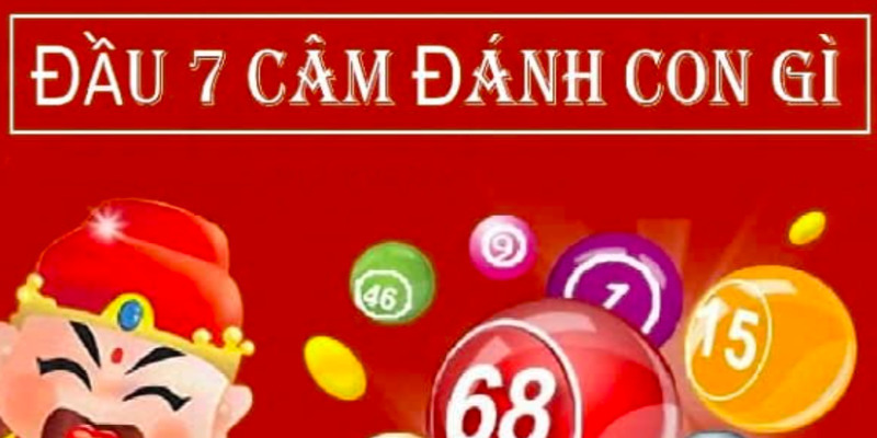 lo-dau-7-cam-hom-sau-danh-con-gi