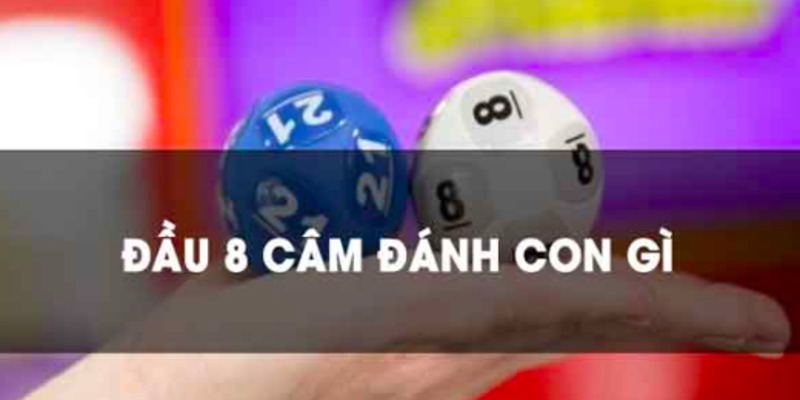 lo-dau-8-cam-hom-sau-danh-con-gi