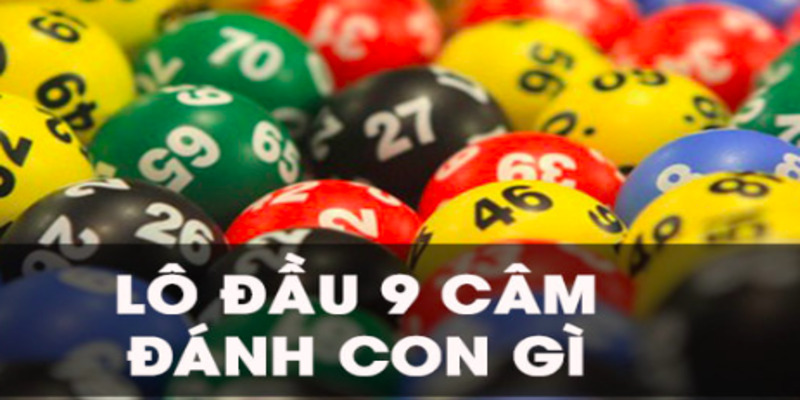 lo-dau-9-cam-hom-sau-danh-con-gi-1