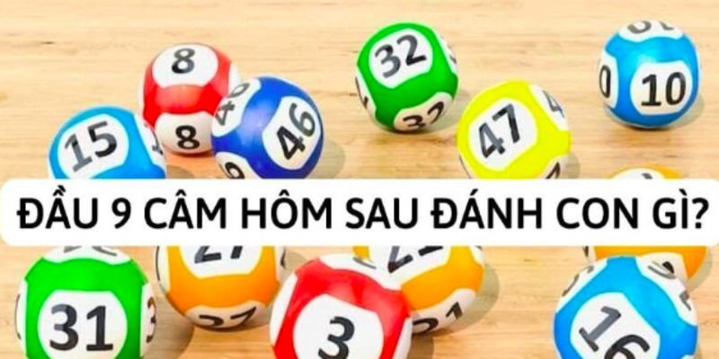 lo-dau-9-cam-hom-sau-danh-con-gi