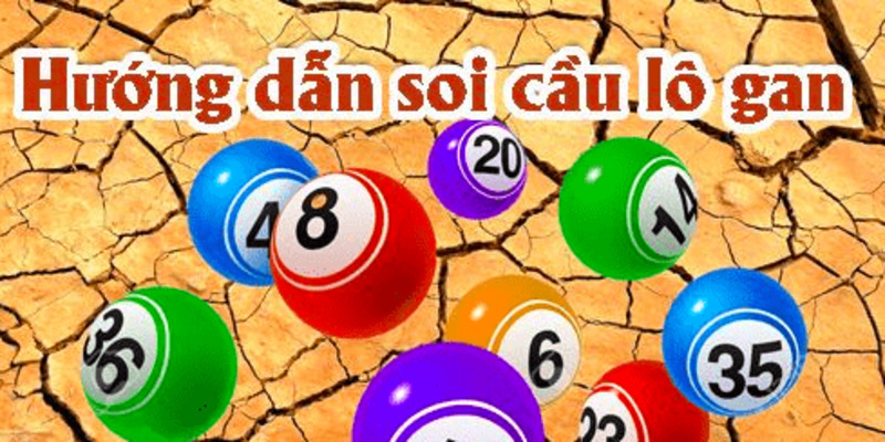 soi-cau-lo-gan