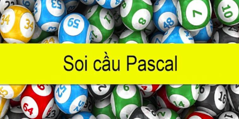soi-cau-pascal-la-gi