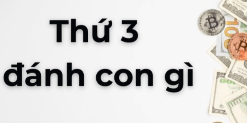 thu-ba-danh-con-gi-1