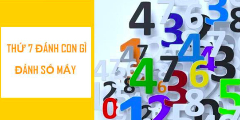thu-bay-danh-con-gi-1