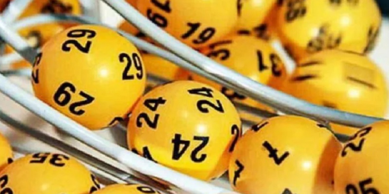 cach-nuoi-de-khung-247